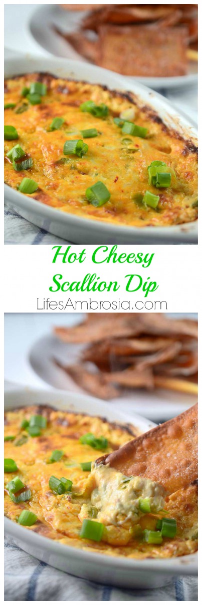 Hot Cheesy Scallion Dip 