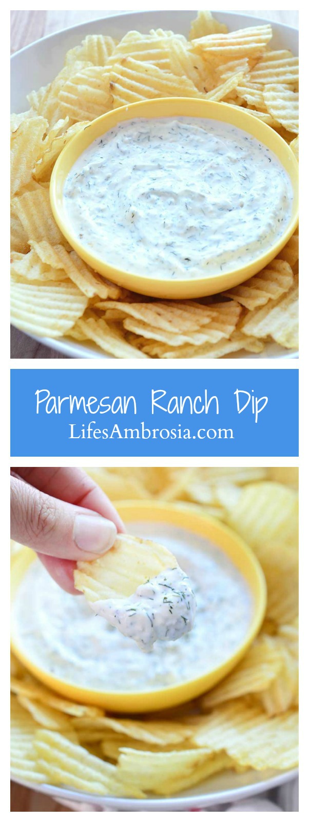 Quick, easy and light this Parmesan Ranch dip made with greek yogurt, mayonnaise, dill and garlic is the perfect dip for all your potluck parties!