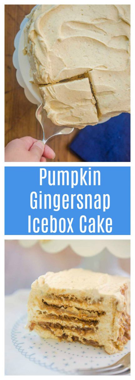 A delectable no-bake cake with gingersnaps and pumpkin whipped cream. Perfect for fall!
