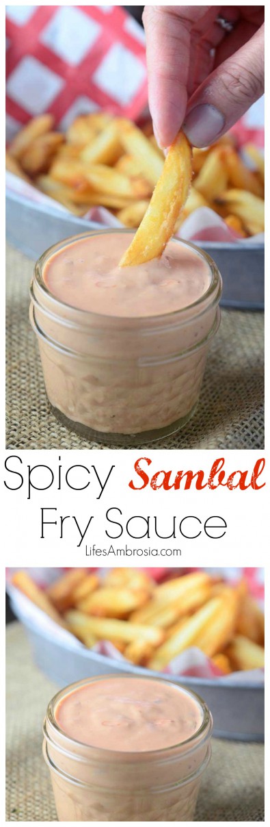 Spicy Sambal Fry Sauce