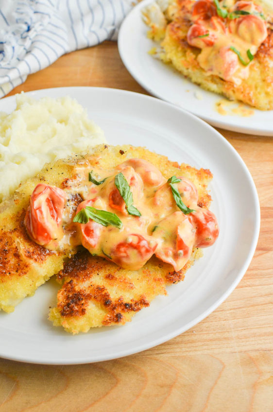 Parmesan Crusted Tilapia with tomato basil sauce on a white plate.