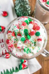 A Peppermint Patty is the perfect Christmas cocktail! Hot chocolate, peppermint schnapps and creme de cacao make it a Merry Christmas indeed. 