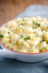 Roasted Garlic and Thyme Mac n' Cheese is every bit as creamy and decadent as a good mac n' cheese should be. With the added deliciousness of sweet roasted garlic and peppery thyme.