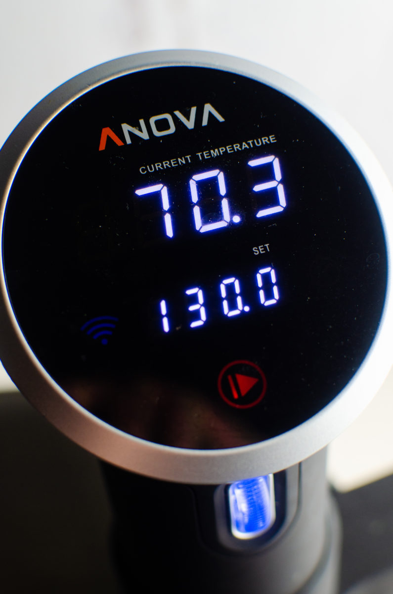 Anova Sous Vide Circulator