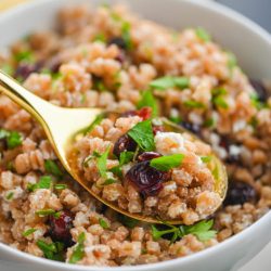 Spoonful of farro salad.