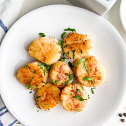 Overhead photo of seared scallops on a white plate.