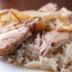 Cilantro lime slow cooker pork on rice.