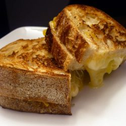 Grilled cheese sandwich on white plate.