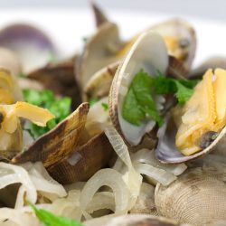 Close up photo of steamed clams.