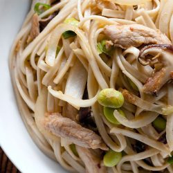 Overhead photo of udon noodle stir fry in white bowl.