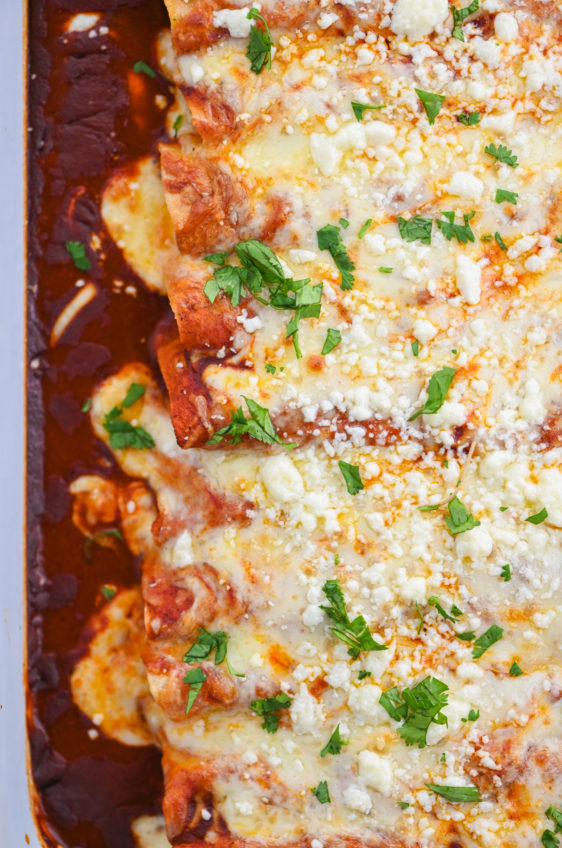 Bean and Cheese Enchiladas