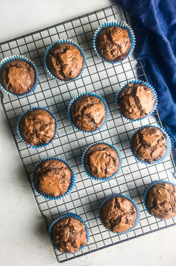 Chocolate Chocolate Chip Muffins