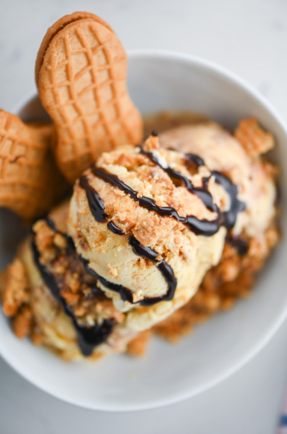 Nutter Butter Fudge Swirl Ice Cream