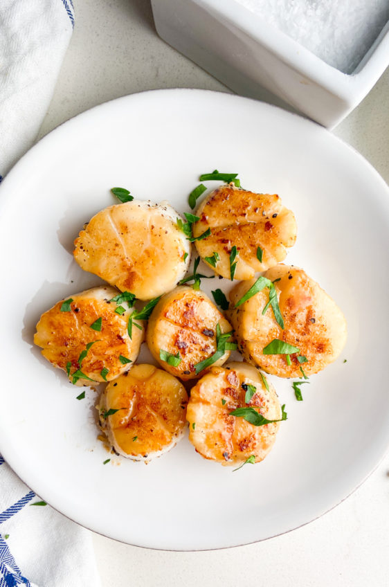 Pan Seared Sea Scallops