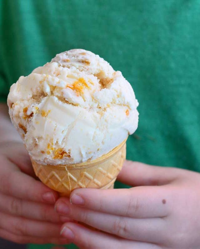 Pumpkin Cheesecake Cookie Ice Cream