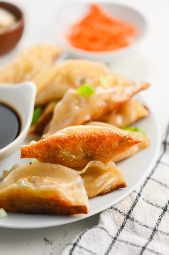 Vegetable Potstickers