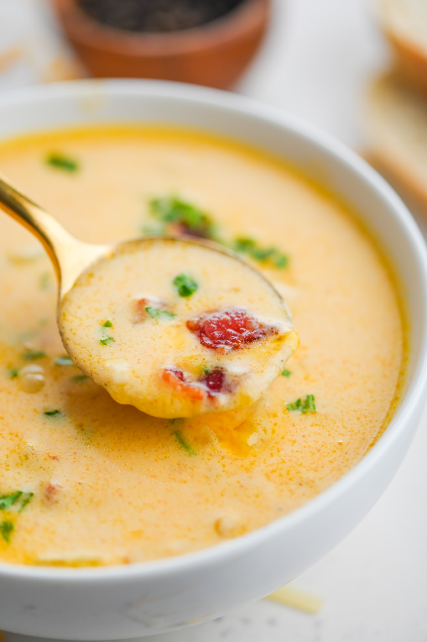 Beer Cheese Soup