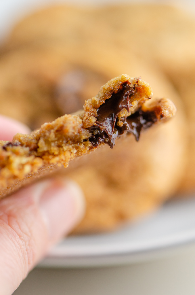 Inside of a chocolate chip cookie. 