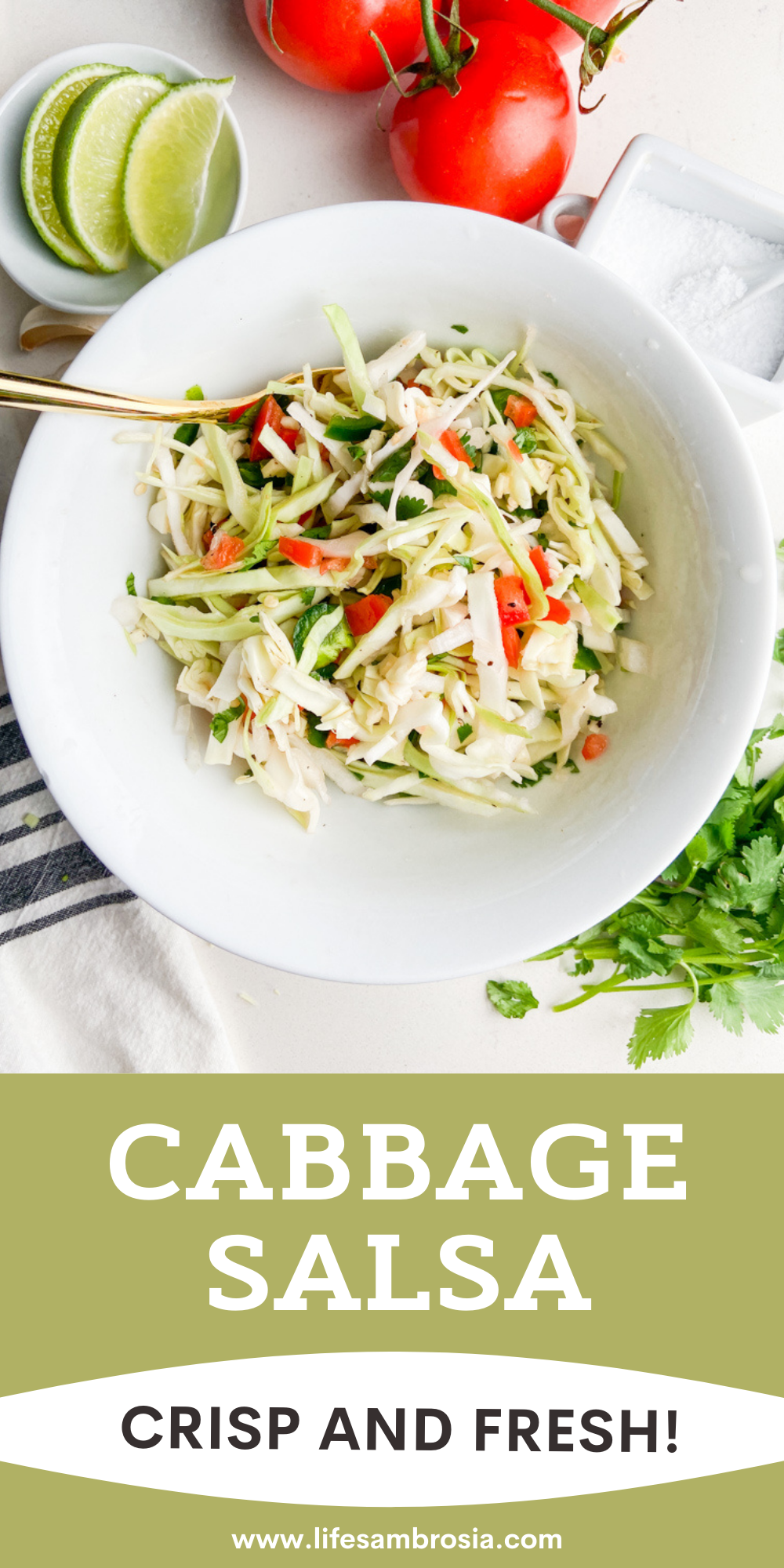 Cabbage Salsa Recipe Fresh Cabbage Salsa Life's Ambrosia