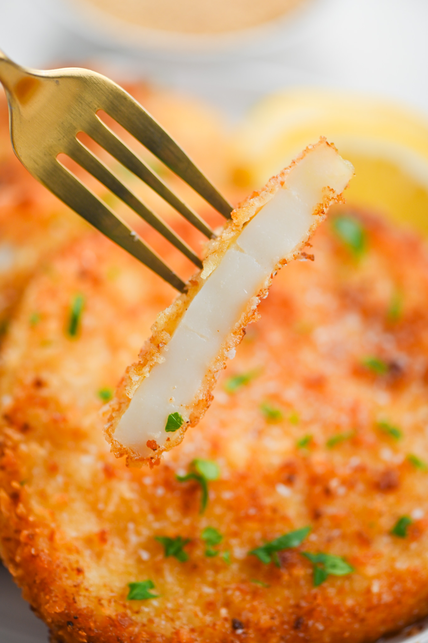 Calamari Steak Life's Ambrosia