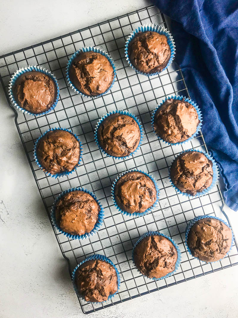 Chocolate Chocolate Chip Muffins