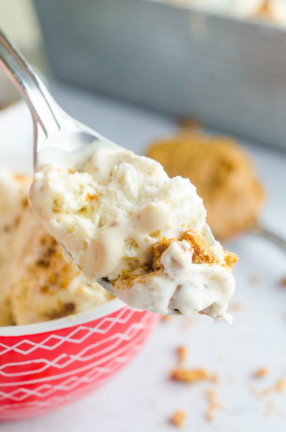 Cookie Butter Ice Cream Recipe No Churn Ice Cream Life's Ambrosia