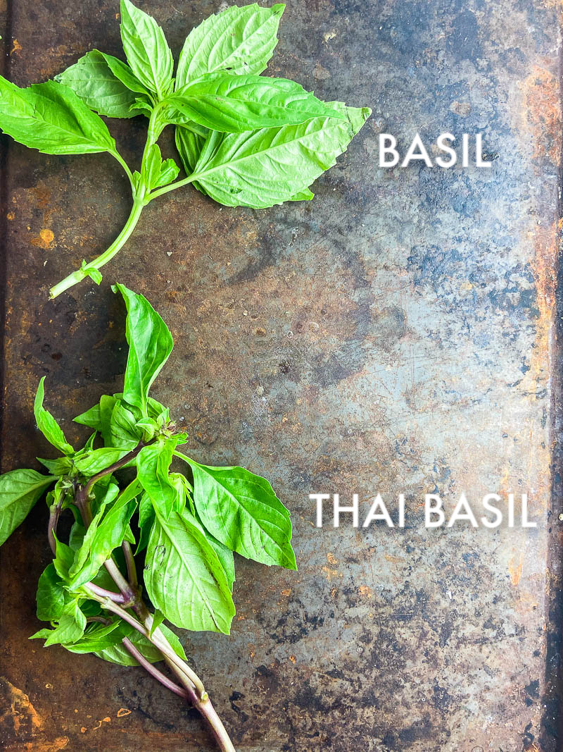 Photo of Sweet Basil and Thai Basil 