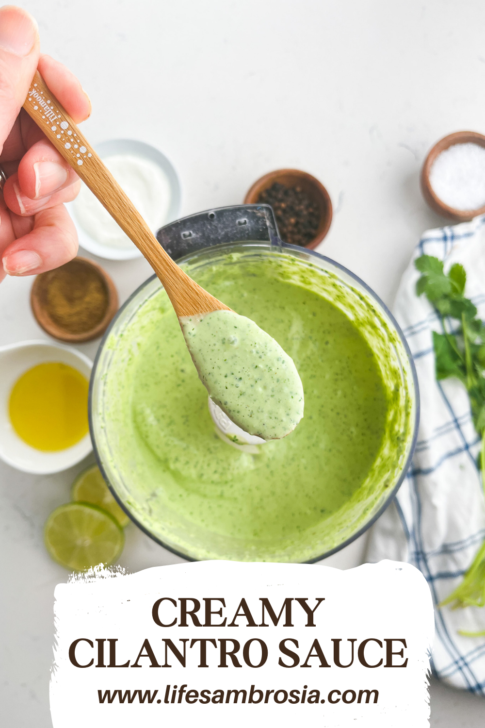 Creamy Cilantro Sauce Recipe Life's Ambrosia