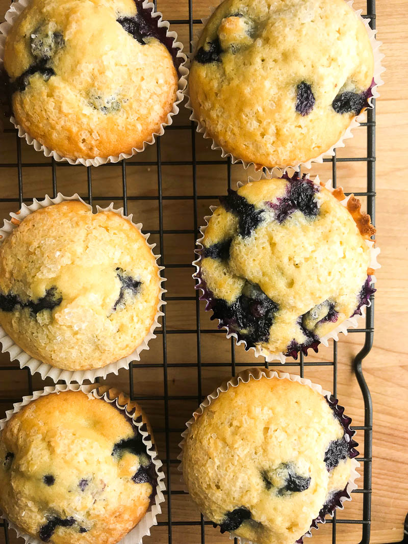 Easy Blueberry Muffins