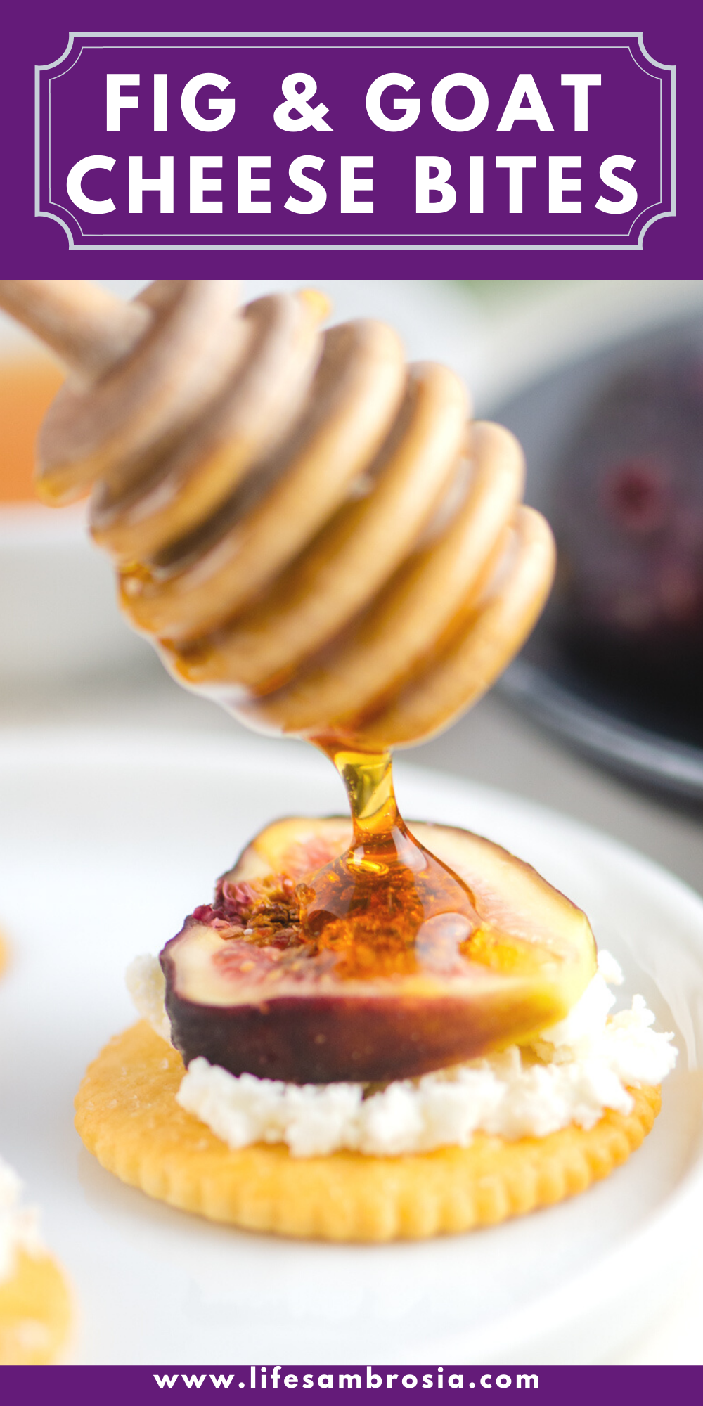 Fig and Goat Cheese Bites Appetizer Life's Ambrosia