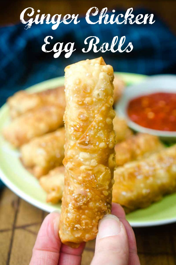 Crispy Ginger Chicken Egg Rolls are the perfect appetizer. Loaded with all kinds of goodies #eggroll #appetizer #asianfood 