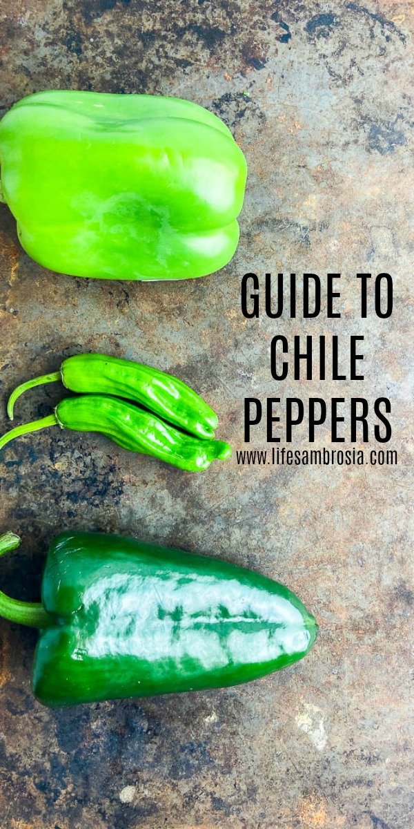 A must have Guide to Chile Peppers! Learn how to identify them and find them on the socville scale. 