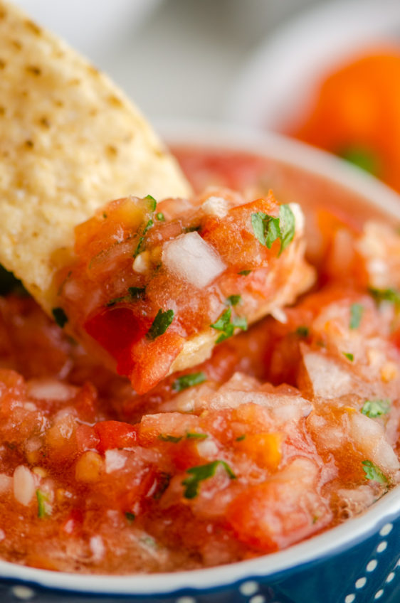 Habanero Salsa Recipe Life's Ambrosia