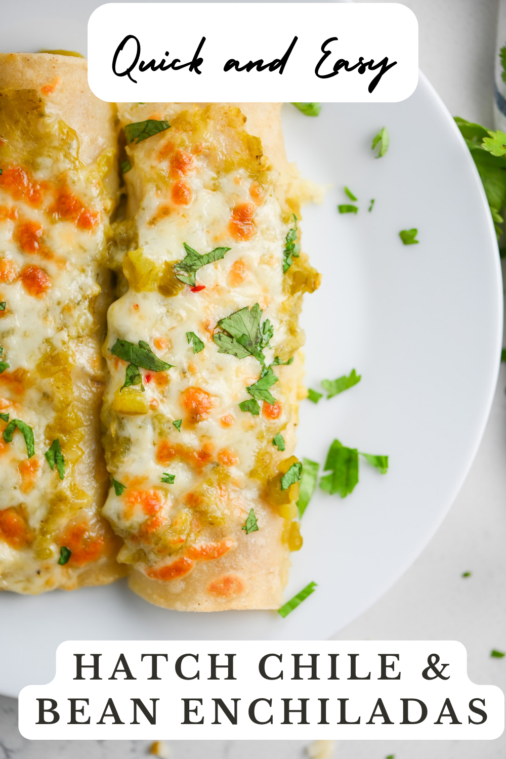 Hatch Chile and Bean Enchiladas — Pin this recipe