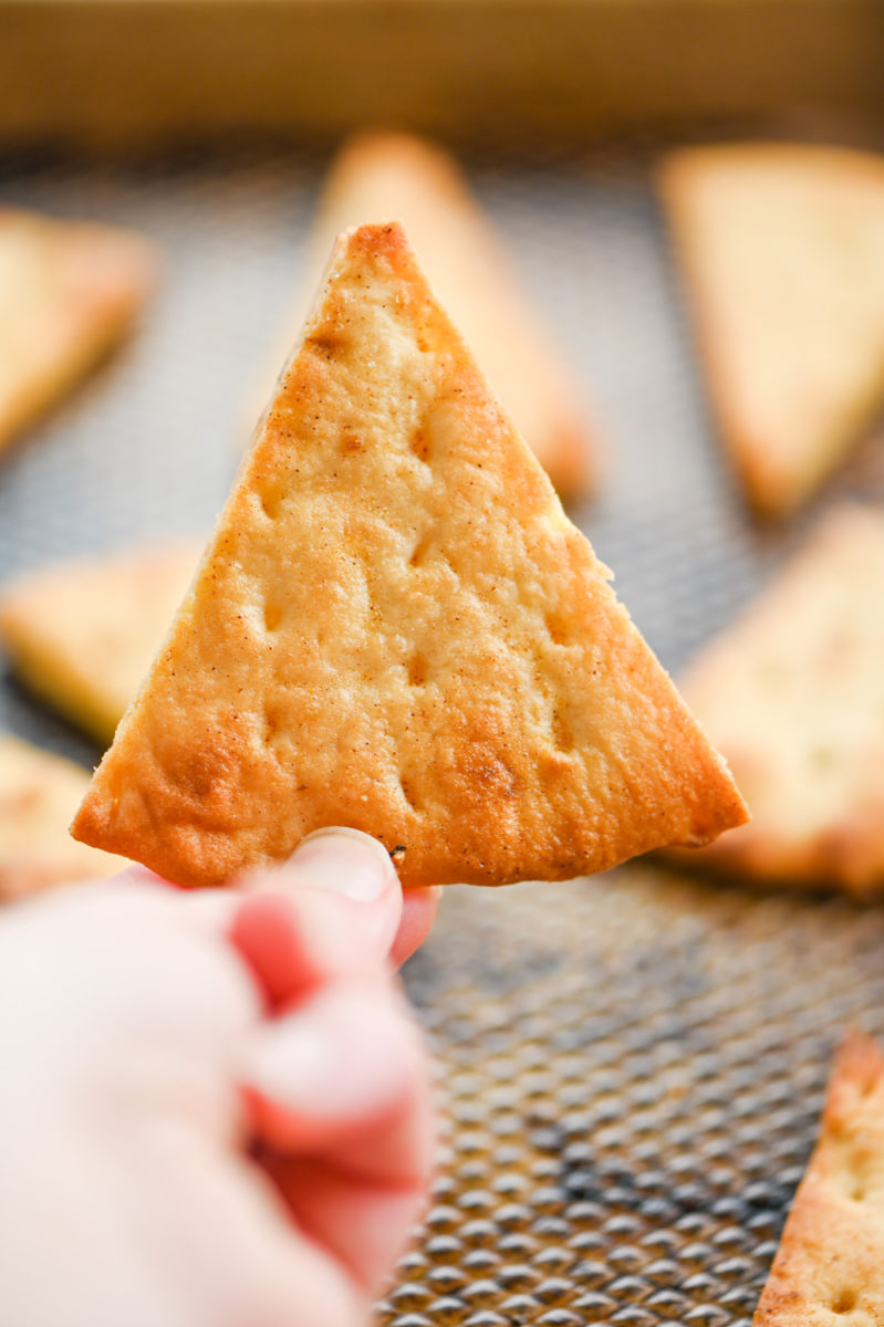 A hand holding a homemade pita chip.