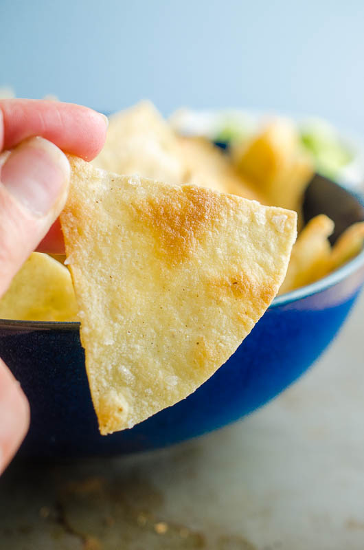 A hand holding a tortilla chip 