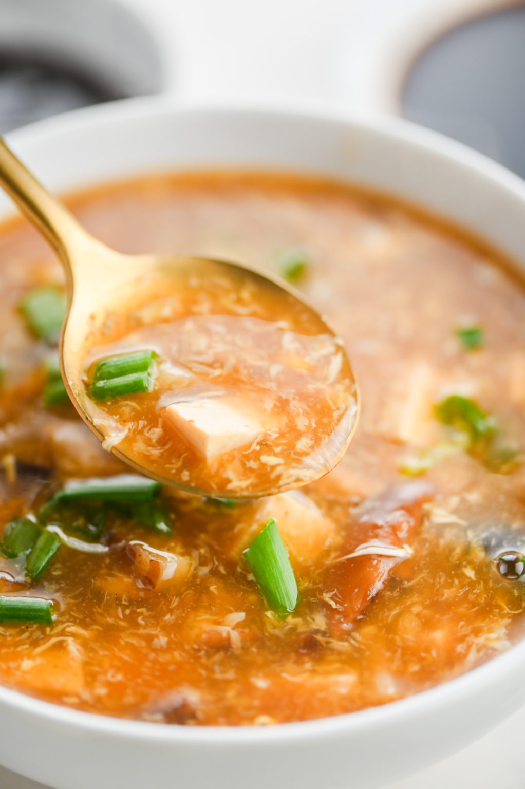 Hot and Sour Soup Recipe | Life's Ambrosia