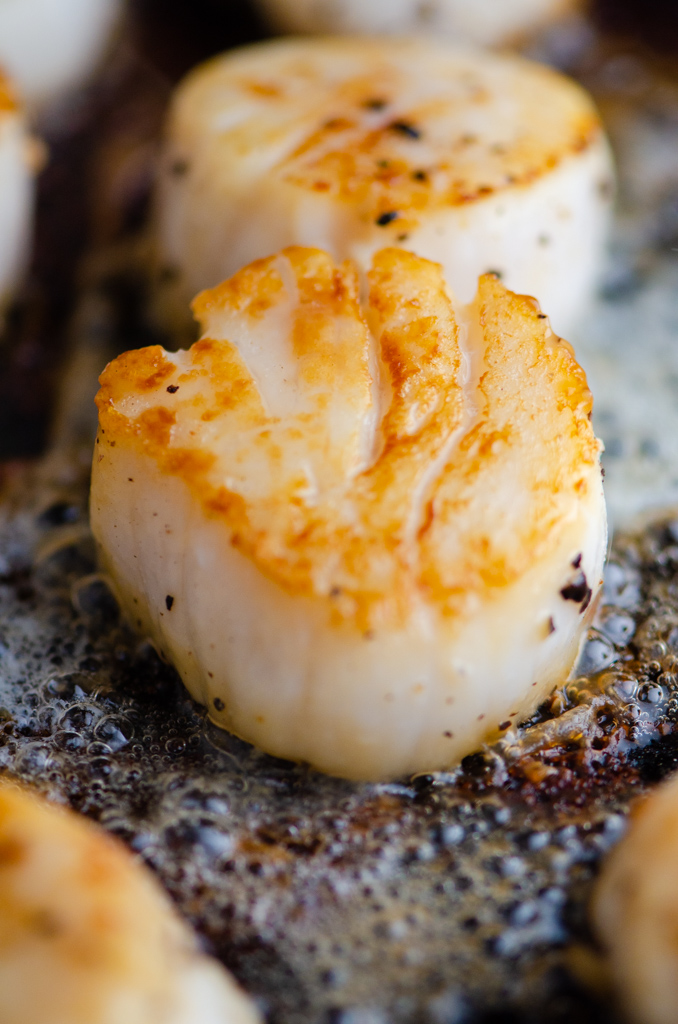 Close up photo of scallop searing in a cast iron skillet. 