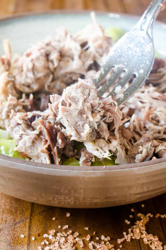 Instant Pot (Pressure Cooker) Kalua Pork Recipe Life's Ambrosia