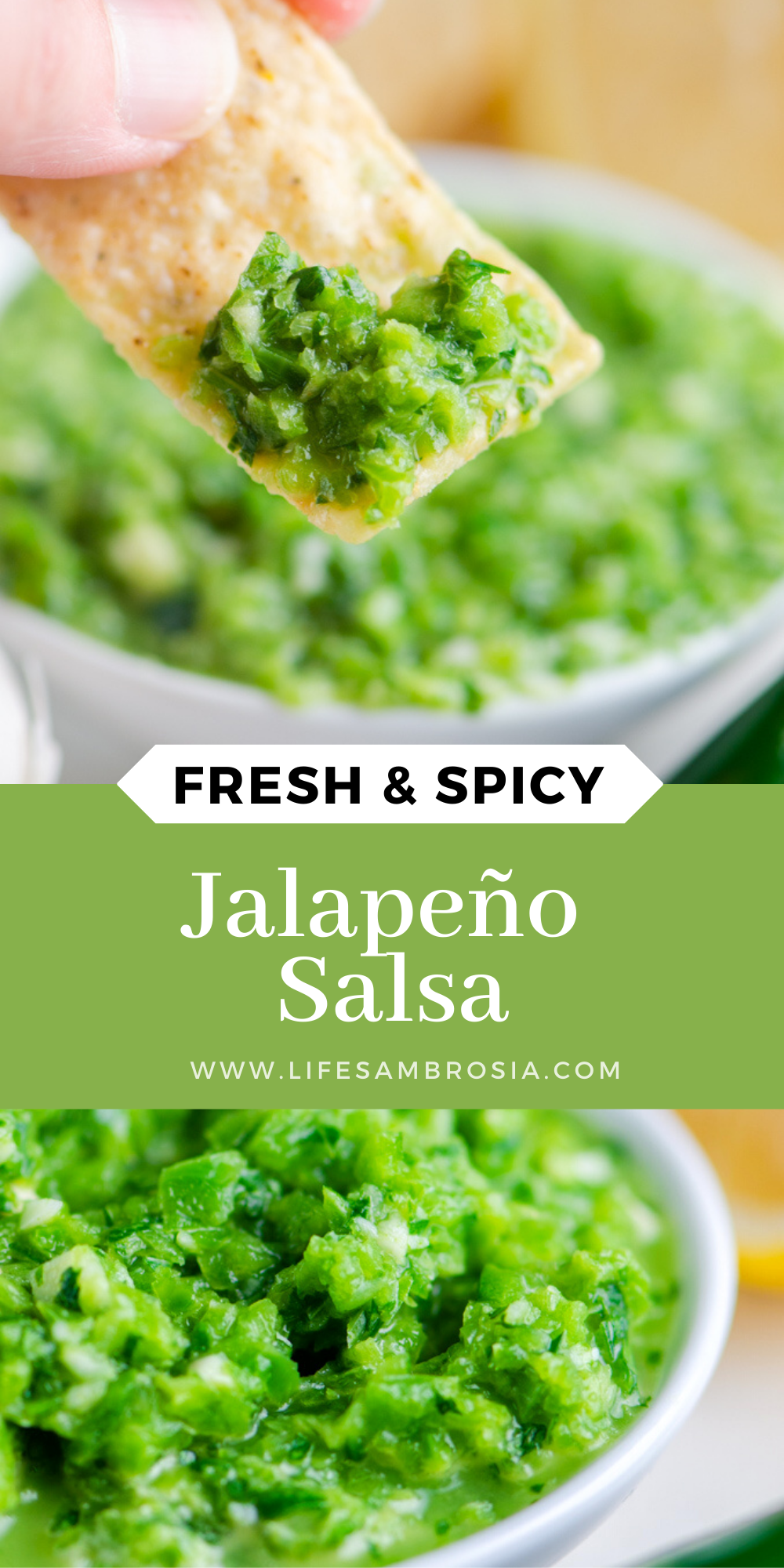 Quick and Easy Jalapeno Salsa Recipe Life's Ambrosia