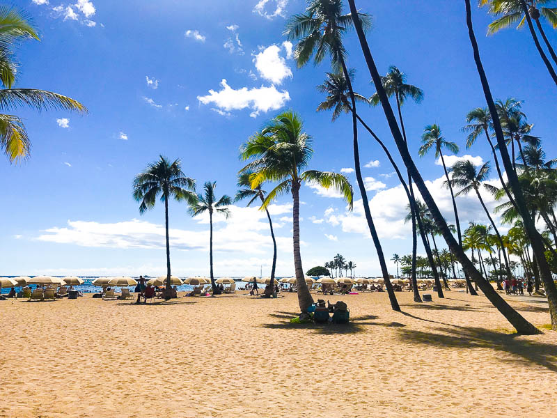 Waikiki Beach