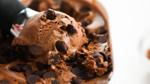 Malted Mocha Chocolate Chip Ice Cream