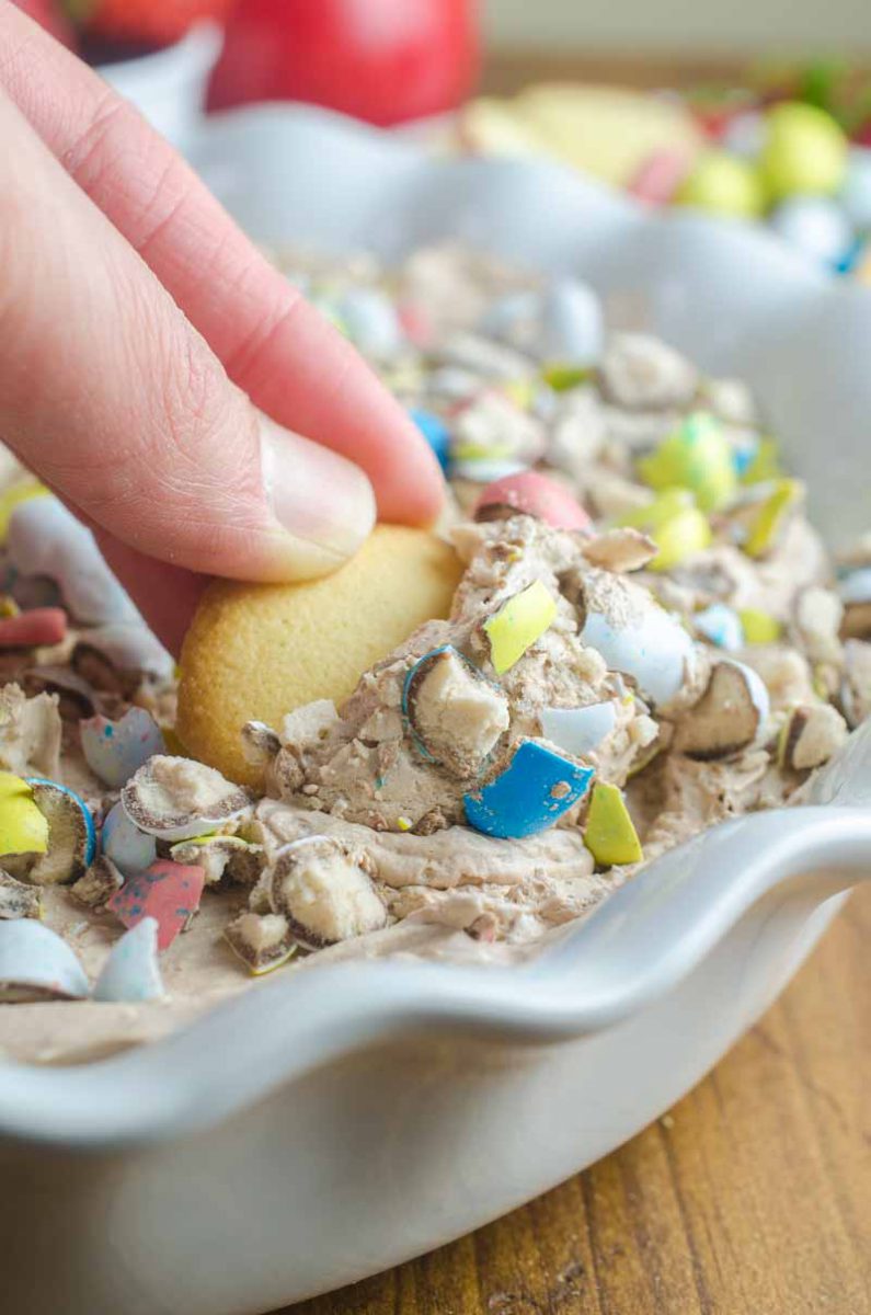 Malted Robin Egg Cheesecake Dip is a delectable no bake dessert perfect for all of your Easter celebrations. With only six ingredients it's a breeze to make. 