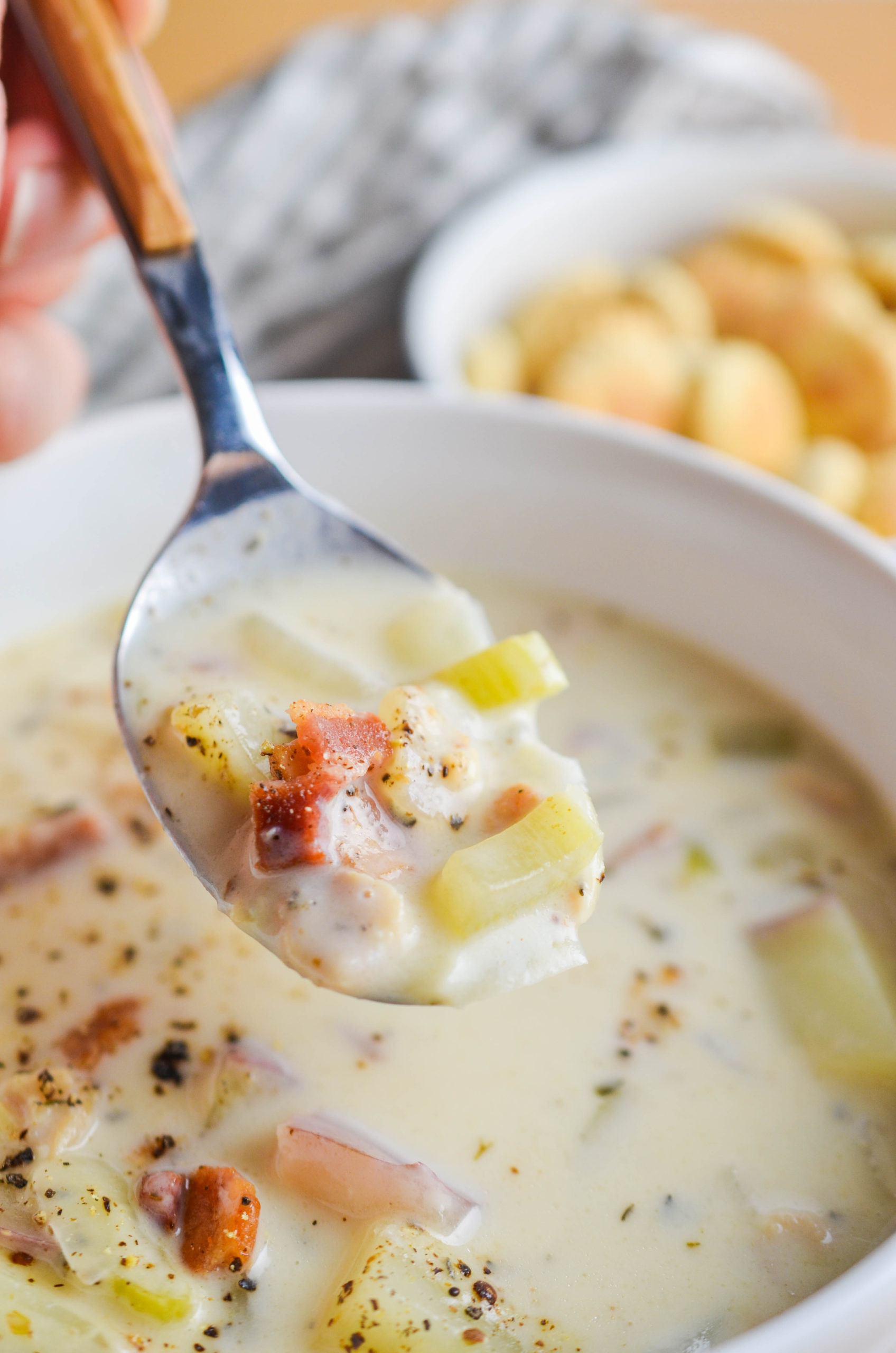 Spoonful of clam chowder. 
