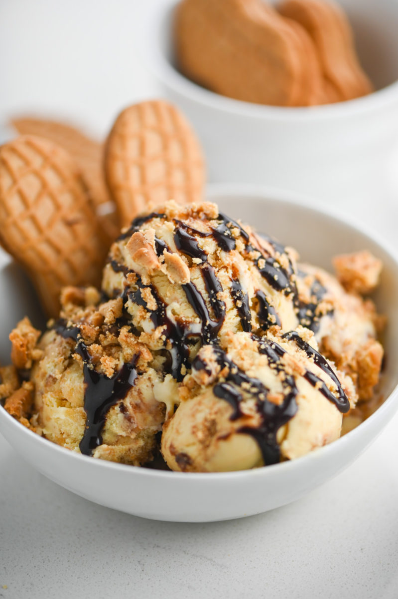 Nutter Butter Fudge Swirl Ice Cream