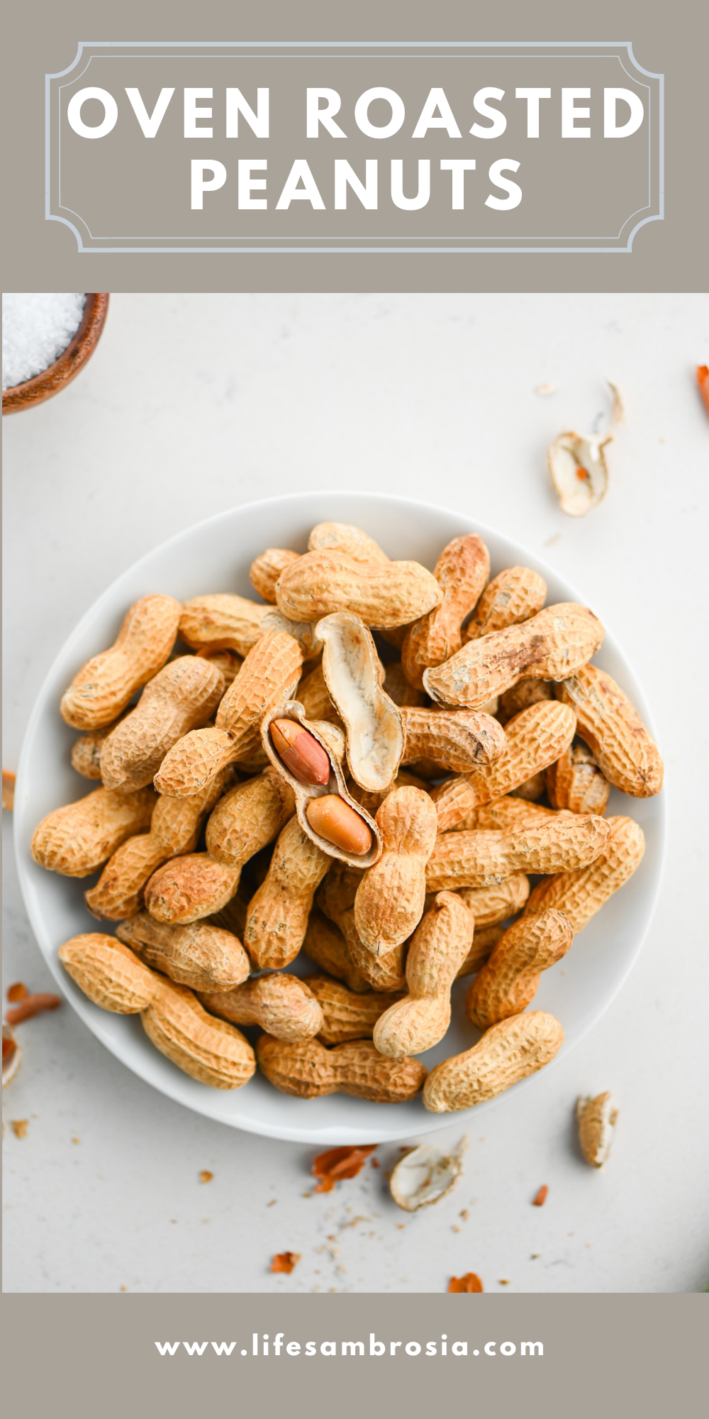 Oven Roasted Peanuts Life's Ambrosia
