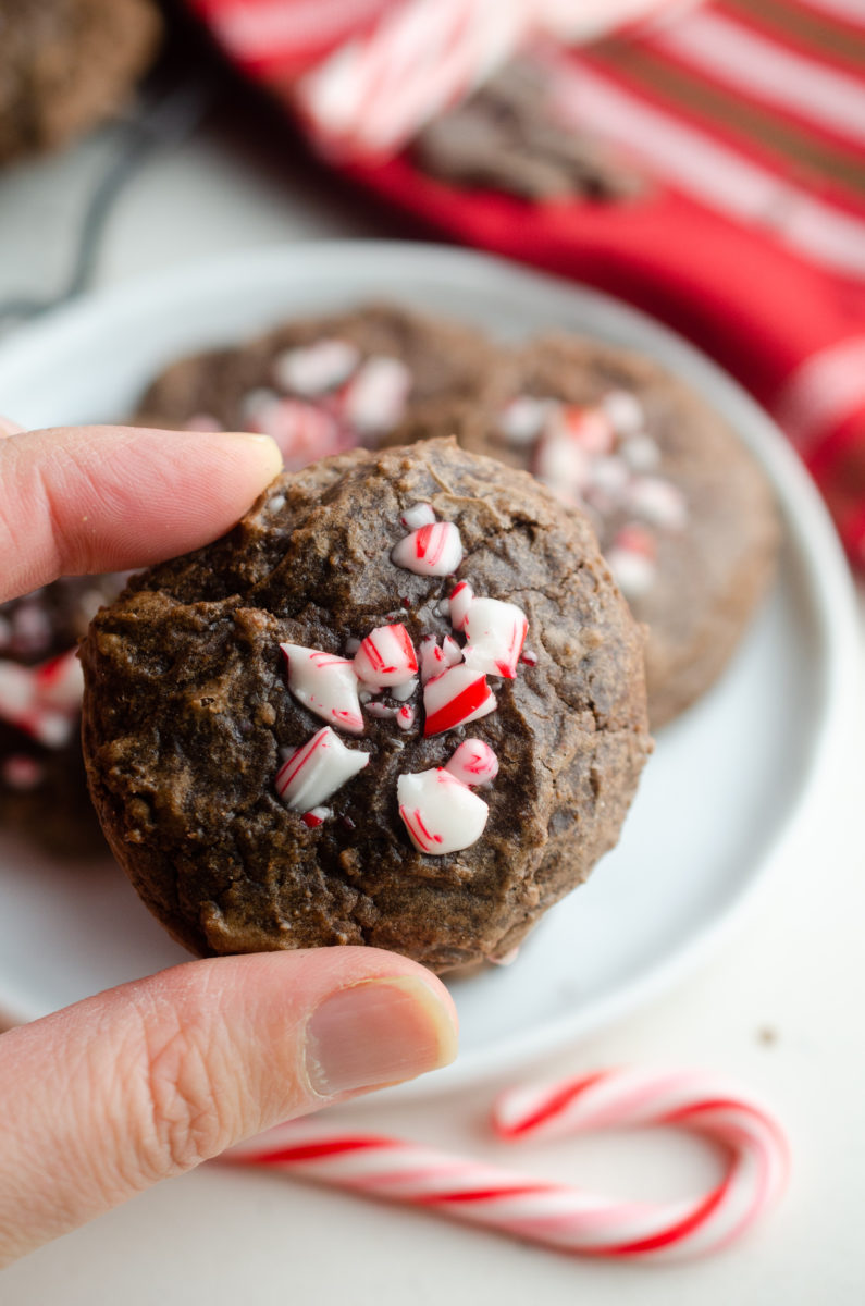 Hand holding fudgy brownie cookies.