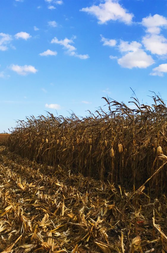 Iowa Corn Quest 2018