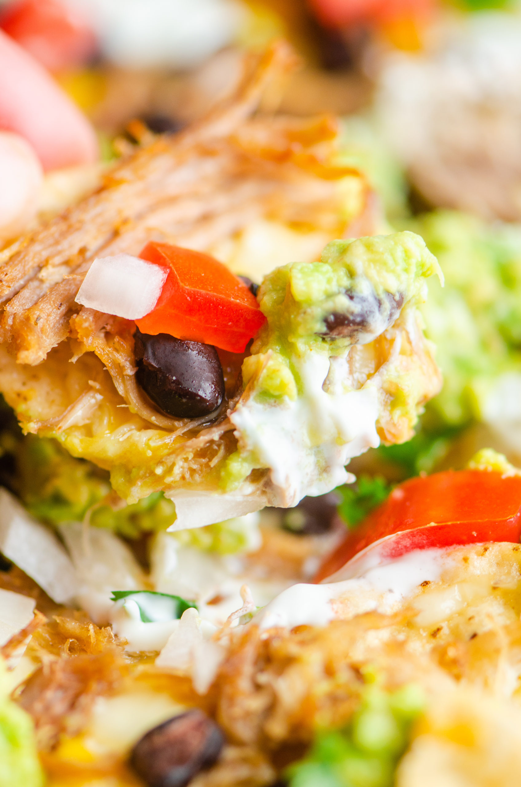 Tortilla chip with pulled pork, tomatoes and guacamole. 