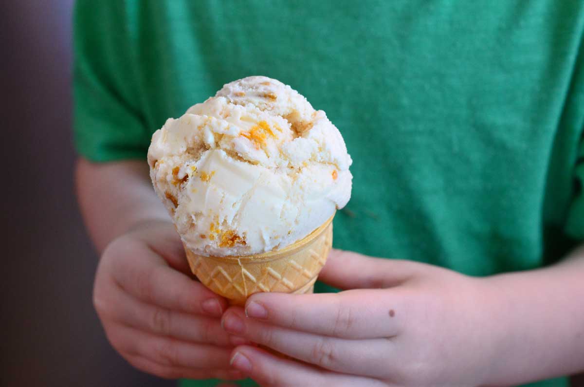 Pumpkin Cheesecake Cookie Ice Cream